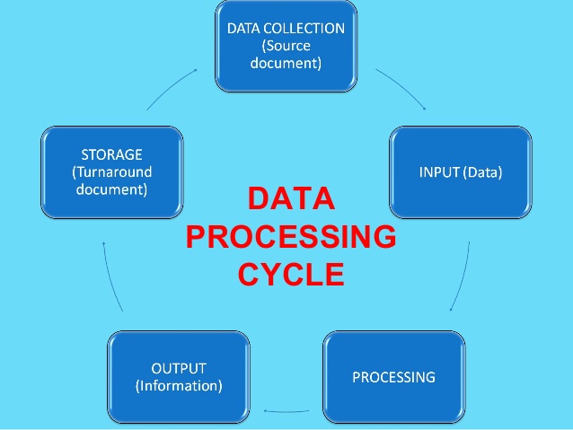 Data Processing At Best Price In Delhi Datasoft Computer Services Pvt Ltd
