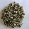 Fresh Moringa Hybrid Propogation Seeds