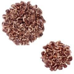 High Yeild Moringa Seed