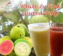 White & Pink Guava Pulp, Shelf Life : 2 Year
