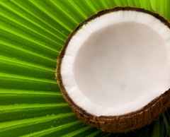 organic coconut products