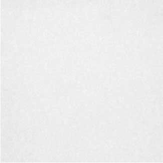Regular Antiskid (300mm x 300mm) - A-S White