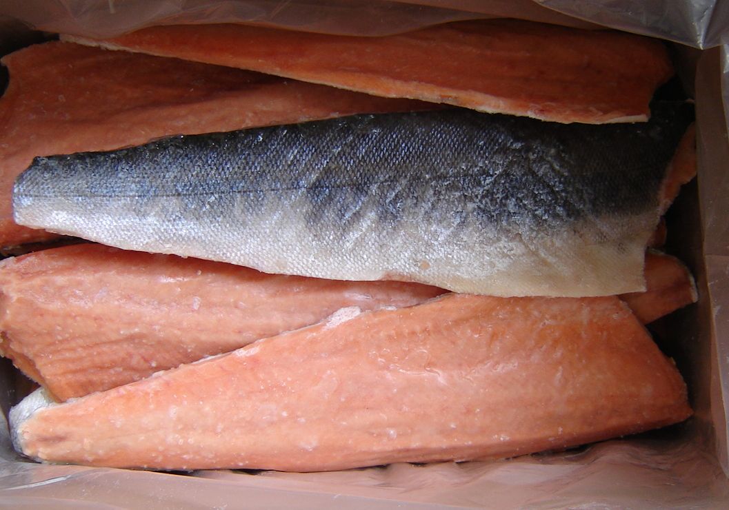 Chum Salmon Fish