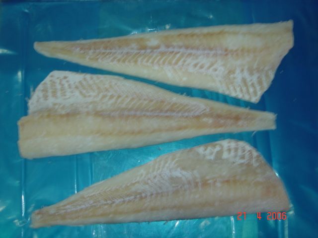 Pacific Cod