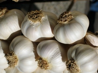 Common Fresh White Garlic, for Cooking, Style : Solid