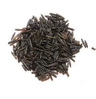 Wild Rice