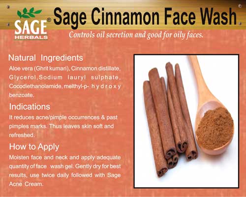 Cinnamon Face Wash
