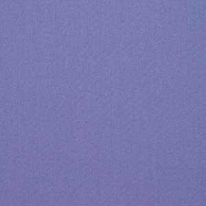 Plain Weave Polyester Shirting Fabric