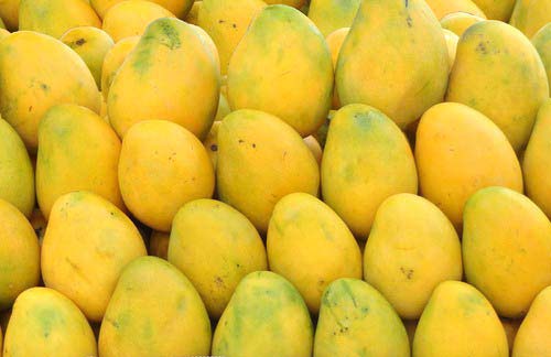 Organic Fresh Mangoes