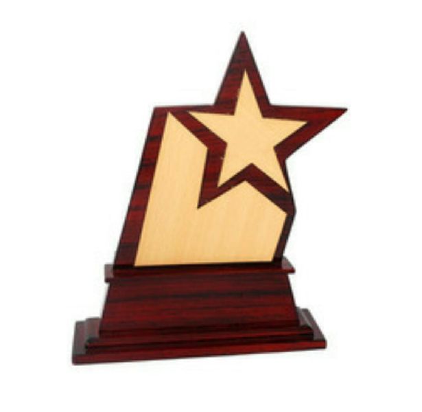 WA0022 Award Trophy