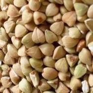 Buckwheat