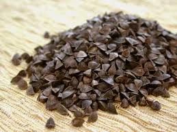 Buckwheat
