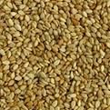 sesame seeds