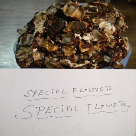 Special Flower Tamarind