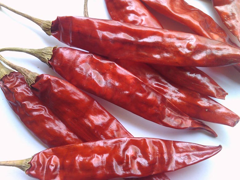 Dry Red Chillies