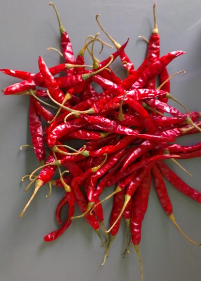 Chilli, Shelf Life : Long