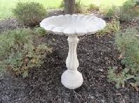 Bird Bath