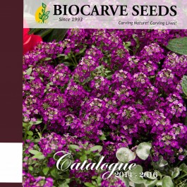 Biocarve Seeds at Best Price in Ludhiana | Biocarve Seeds