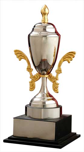 Cup Trophy 65