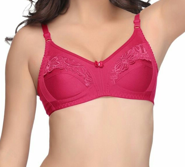 Damini Lace Bra