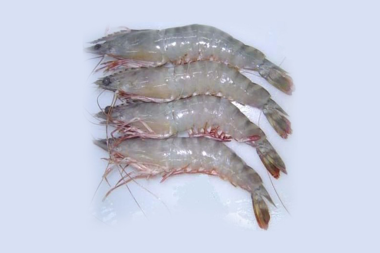 Flower Prawn, for Wholesale, Household, Mess, Restaurant, Packaging Type : Carton, Thermocol Box