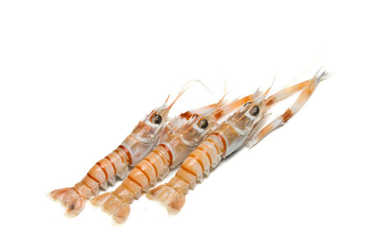 Scampi, Packaging Type : Thermocol Box