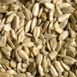 Common sunflower seeds, for Agriculture, Style : Dried