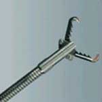 Rat Tooth Type Forcep with Alligator
