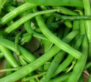 fresh beans