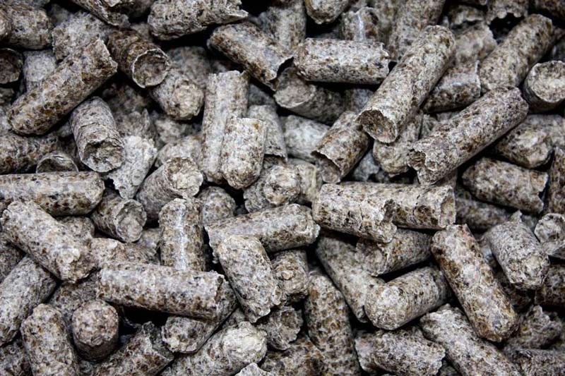 Beet Pulp Pellets Exporters & Wholesale Suppliers from Los Angeles