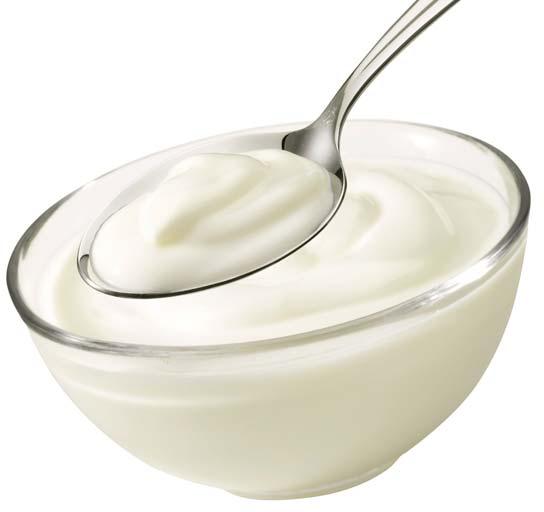 Yogurt Sour Cream