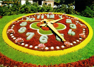 Floral Clocks