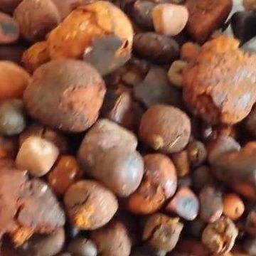 Best Quality Gallstones