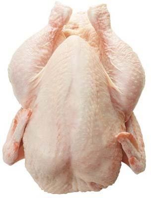 Frozen Halal Chicken