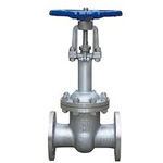 Cryogenic Valves