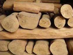 Sandalwood Oil