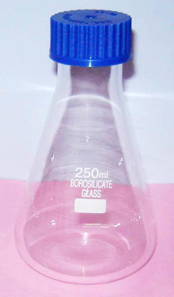 Conical Bottle 250 Ml with Cap