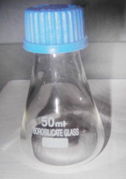 Conical Bottle with Cap