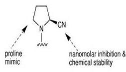 1-(chloroacetyl) Pyrrolidine