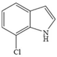 7-Chloro Indole 53924-05-3