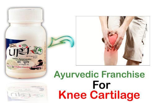 Ayurvedic Franchise For Knee Cartilage