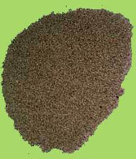 Ajwain Seeds