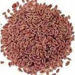 Organic Isabgol Seeds, for Agriculture, Style : Dried