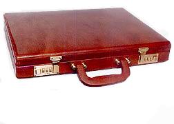 Briefcase 8