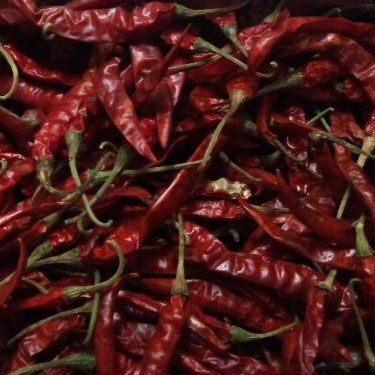 Teja Dried Red Chilli