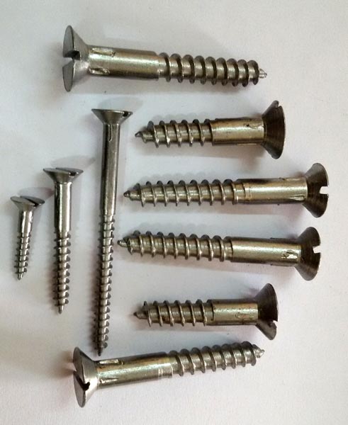 Iron Shaved Head Wood Screws at Best Price in Amritsar