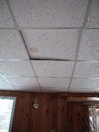 sandwich ceiling panels