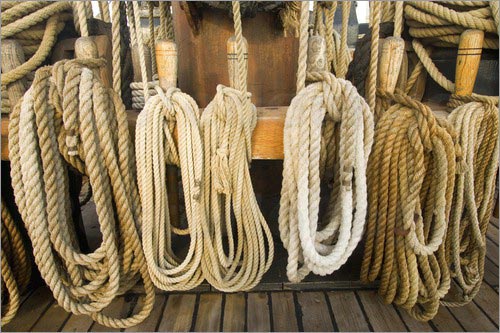 Cotton Marine Ropes, for Binding Pulling, Feature : Good Quality, High  Tensile Strength, Perfect Finish at Best Price in Bhavnagar