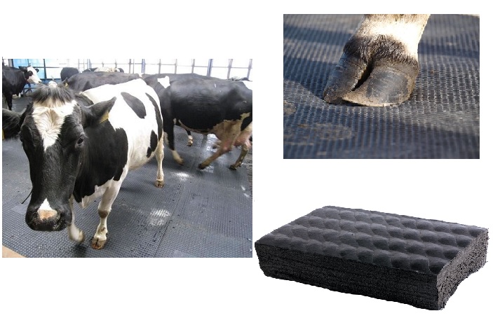 COW MATS SHEETS by Metro Rubber Corporation, cow mats sheets,Cow Mat from  Ghaziabad | ID - 3797488
