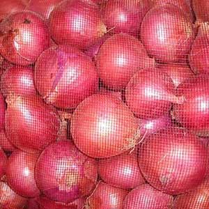 fresh red onion